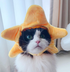starcat logo