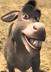 RIP DONKEY logo
