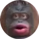 Monkecoin⠀⠀⠀⠀⠀⠀⠀⠀⠀⠀⠀⠀⠀⠀⠀⠀⠀⠀⠀⠀⠀⠀⠀⠀⠀⠀⠀⠀⠀⠀⠀⠀⠀⠀⠀⠀⠀84qU4WhMxKBU872n77UxZkb92bUMwic5umdDjJawpump logo