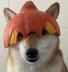Dog Wif Pumpkin logo