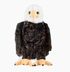 New Official Mascot Of USA logo