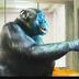 smart ape logo