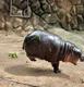Khaokheow Zoo New Hippo logo