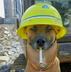 Smoking Worker Dog logo