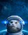 METEORA CAT logo