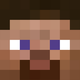 FREE Steve logo