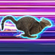 got to go logo