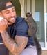 orphan squirrel RIP Pnut logo