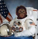 first nigga on the moon logo