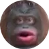 Monkecoin ⠀⠀⠀⠀⠀⠀⠀⠀⠀⠀⠀⠀⠀⠀⠀⠀⠀⠀⠀⠀⠀⠀⠀⠀⠀⠀⠀⠀⠀⠀⠀⠀⠀⠀⠀⠀⠀⠀⠀⠀⠀⠀s8Moh2ciLZUkbCJoKjaAAyCtS5Ch3xc4EXTChH3rbpump logo