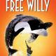 Willy logo