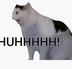 huhh cat logo