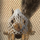 wrapped pnut  logo