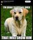 DOGE logo