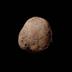 potato for 1 Million $ logo