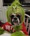 Grinch Doge logo