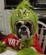 Grinch Doge logo