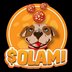 SOLAMI logo