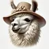 LLMA with HAT logo