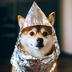 tinfoildoge⠀⠀⠀⠀⠀⠀⠀⠀⠀⠀⠀⠀⠀⠀⠀⠀⠀⠀⠀⠀⠀⠀⠀⠀⠀⠀⠀⠀⠀⠀⠀⠀⠀⠀⠀⠀⠀DK2DQ3LehK724VmWjHQvtktQXEBkC8cMQyCzFp4T6pTb logo