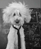 einstein⠀⠀⠀⠀⠀⠀⠀⠀⠀⠀⠀⠀⠀⠀⠀⠀⠀⠀⠀⠀⠀⠀⠀⠀⠀⠀⠀⠀⠀⠀⠀⠀⠀⠀⠀⠀⠀21RSZyMF41zvZfDtjWk7nJg2Y4UuGhDwLAKKKrVh4jjw logo