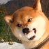 ARE U MAD logo