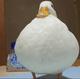 CA starts with DUCK logo