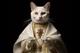 POPECAT logo
