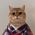 cok the cat logo
