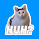 Chubbycoin logo