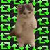 Repost Cat⠀⠀⠀⠀⠀⠀⠀⠀⠀⠀⠀⠀⠀⠀⠀⠀⠀⠀⠀⠀⠀⠀⠀⠀⠀⠀⠀⠀⠀⠀⠀⠀⠀⠀⠀⠀⠀ECbbgVcPcgbG1rJidrpDmKzZpfGKH7Bpcmam8o1vpump logo