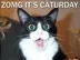 first ever 4chan cat logo