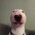 walter⠀⠀⠀⠀⠀⠀⠀⠀⠀⠀⠀⠀⠀⠀⠀⠀⠀⠀⠀⠀⠀⠀⠀⠀⠀⠀⠀⠀⠀⠀⠀⠀⠀⠀⠀⠀⠀DKKseuRSovDY3p35G4PFRZe24Vz4RRA6zEm3TMaGpump logo
