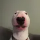 walter⠀⠀⠀⠀⠀⠀⠀⠀⠀⠀⠀⠀⠀⠀⠀⠀⠀⠀⠀⠀⠀⠀⠀⠀⠀⠀⠀⠀⠀⠀⠀⠀⠀⠀⠀⠀⠀DKKseuRSovDY3p35G4PFRZe24Vz4RRA6zEm3TMaGpump logo
