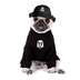 DEXDOG logo