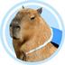 Capybara logo
