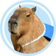 Capybara logo