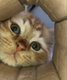 #1 most liked cat EVER⠀⠀⠀⠀⠀⠀⠀⠀⠀⠀⠀⠀⠀⠀⠀⠀⠀⠀⠀⠀⠀⠀⠀⠀⠀⠀⠀⠀⠀⠀⠀⠀⠀⠀⠀⠀⠀6wrUPXU3TxG42Rd9bx5qxFbY87xCfXM2qLtKKnEwpump logo