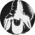 Ascendant of Self logo