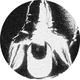Ascendant of Self logo