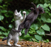 knock out cat ⠀⠀⠀⠀⠀⠀⠀⠀⠀⠀⠀⠀⠀⠀⠀⠀⠀⠀⠀⠀⠀⠀⠀⠀⠀⠀⠀⠀⠀⠀⠀⠀⠀⠀⠀⠀⠀9UfAeUEQPARXQZD46spnCzNmPbs67hxTeLc7RwZepump logo