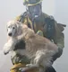 LA Dog Rescued From Fire logo