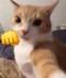 lumpen cat logo