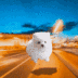 bibi dog logo