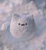 Snowcat logo