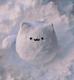 Snowcat logo