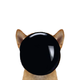 optimus dog⠀⠀⠀⠀⠀⠀⠀⠀⠀⠀⠀⠀⠀⠀⠀⠀⠀⠀⠀⠀⠀⠀⠀⠀⠀⠀⠀⠀⠀⠀⠀⠀⠀⠀⠀⠀⠀2CT9Yds8X5uQhz4w4pVt2Bv6EpkwpxGg62XrsRXbpump logo