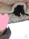 KABOSUMAMA NEW CAT Rupi logo