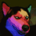DOGE logo