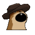 POPNUT logo